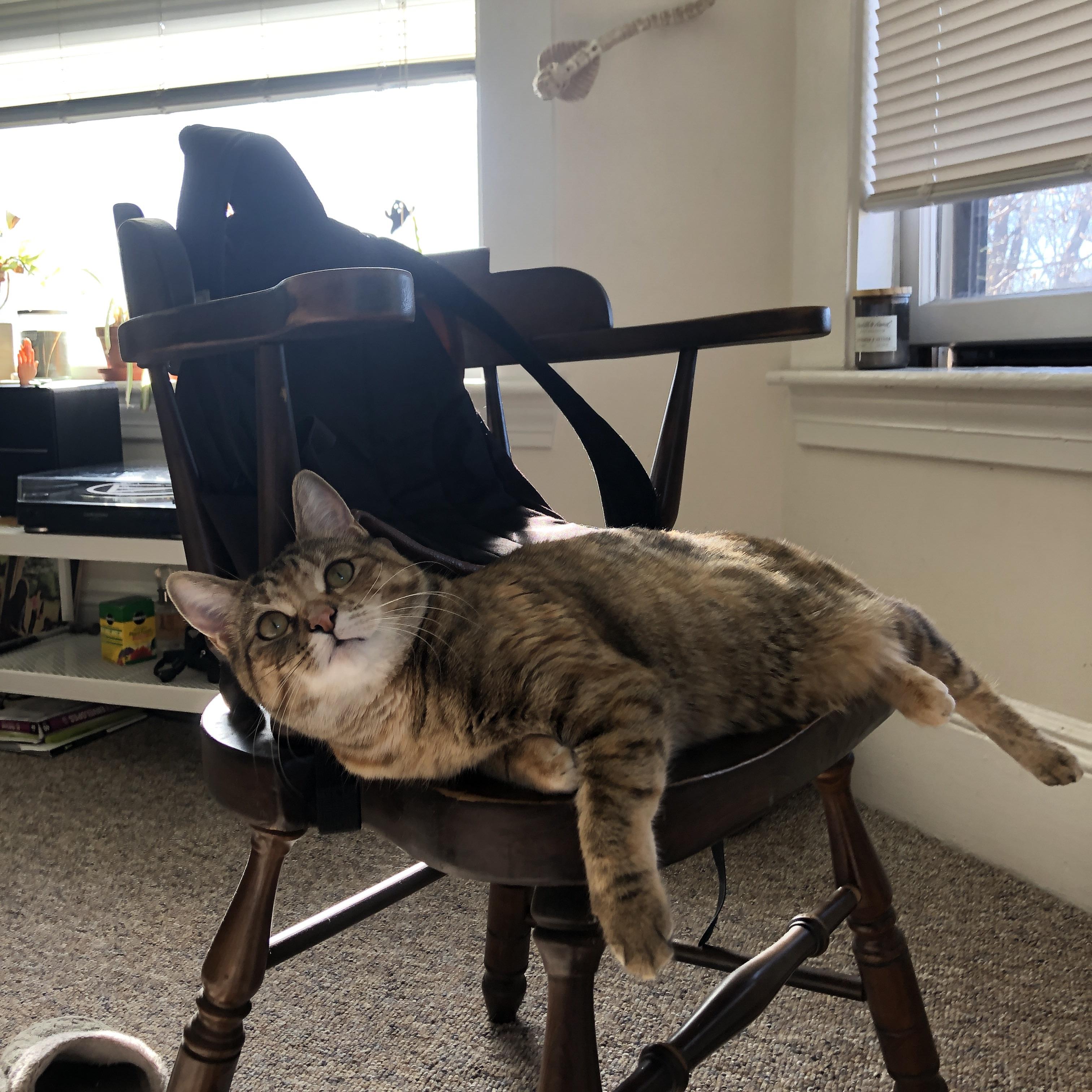 CBA赛季精彩对决不断,cba总决赛精彩瞬间