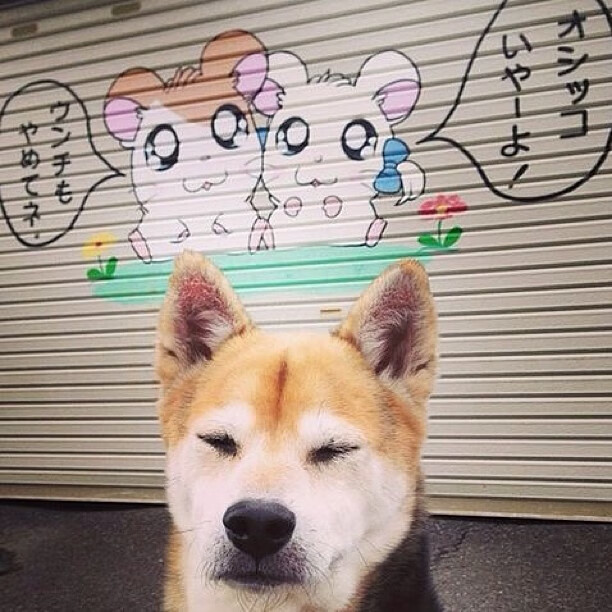 DOTA2国际邀请赛战况激烈中国战队全力冲冠，dota2国际邀请赛2020在哪里举办