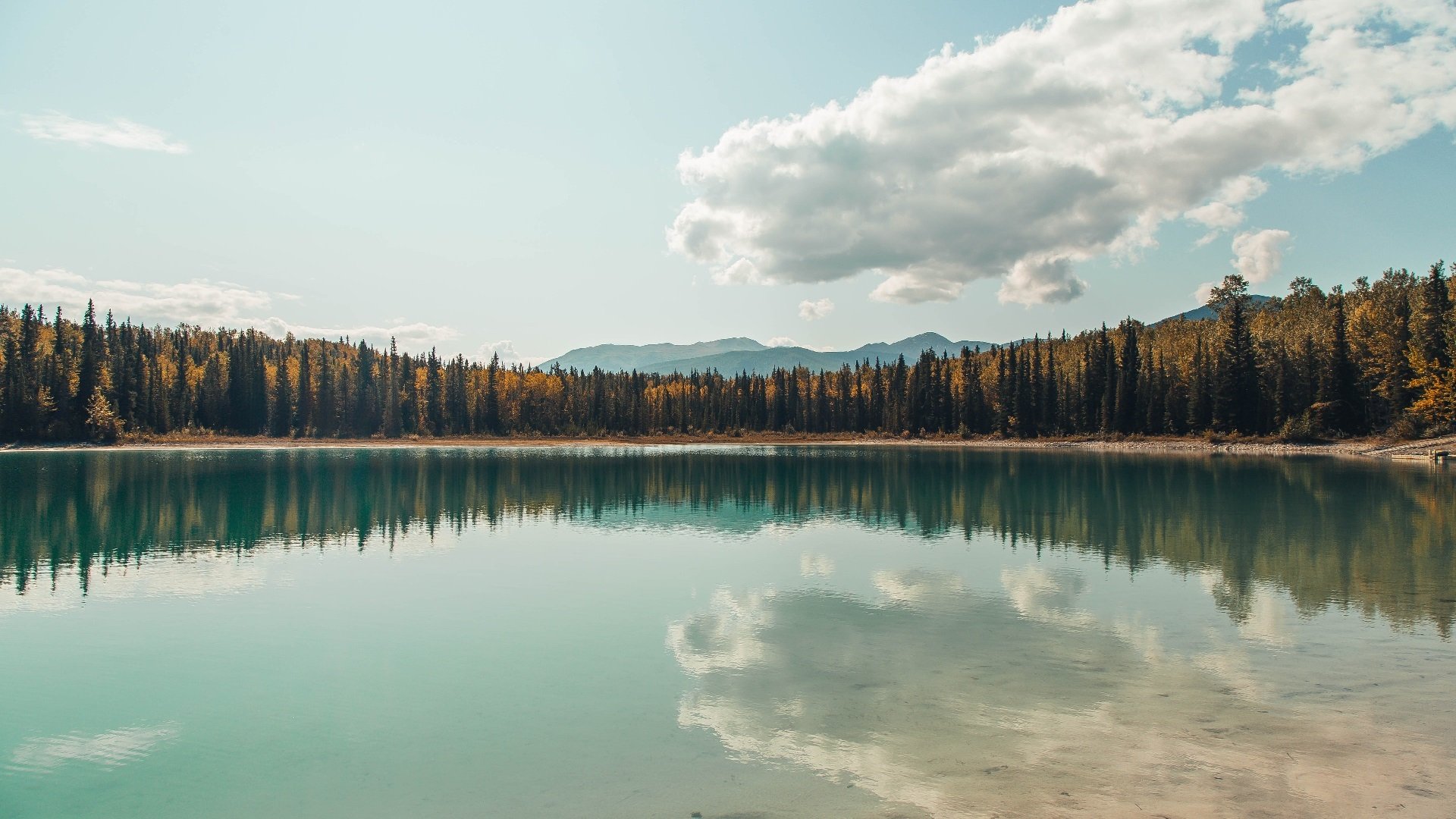 “2025世界运动会:高新体育中心篮球赛成全球篮球迷热议焦点”