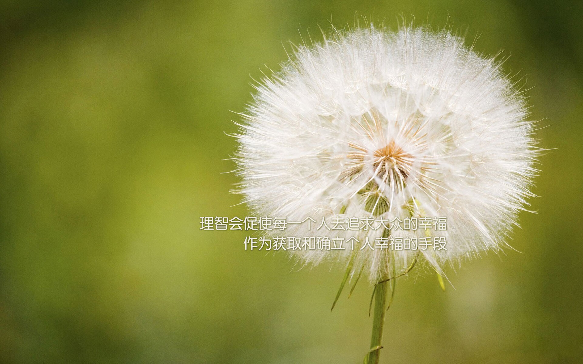 乐鱼体育在线-“亚戈·卡尔曼的精湛传球与强悍进攻，助阿根廷美洲狮队稳步提升”