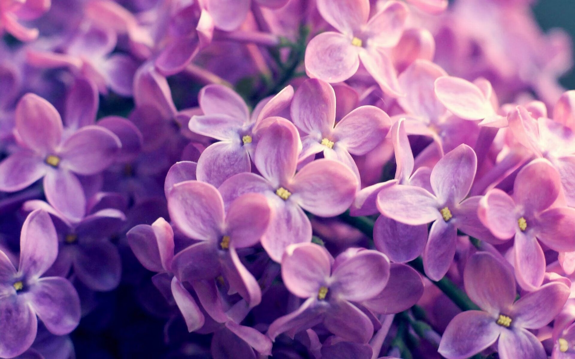 CBA推动地方赛区赛务标准统一提高整体形象，cba比赛地方