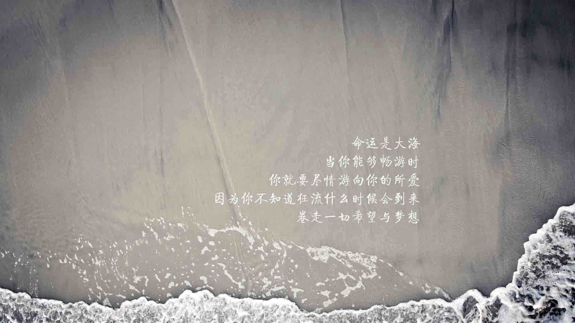 “帕布罗·马特拉:美洲狮队的防线核心,领袖风范尽显”