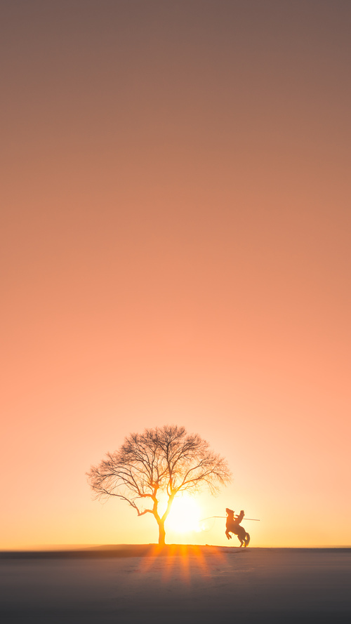 乔·波尔曼的全能表现使袋鼠队在橄榄球锦标赛中名列前茅,乔伯罗橄榄球