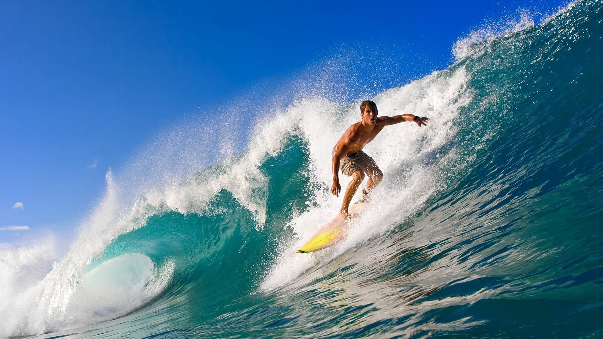 字母哥快速转身突破直插篮下完成暴扣,字母哥进nba