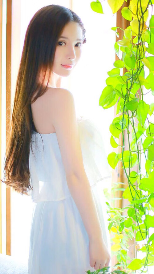 澳大利亚橄榄球走向全球化，赛事吸引国际目光，澳大利亚橄榄球队